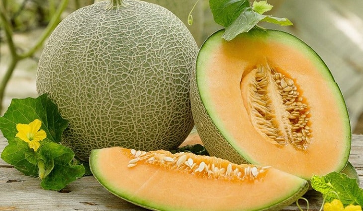 mua dưa lưới