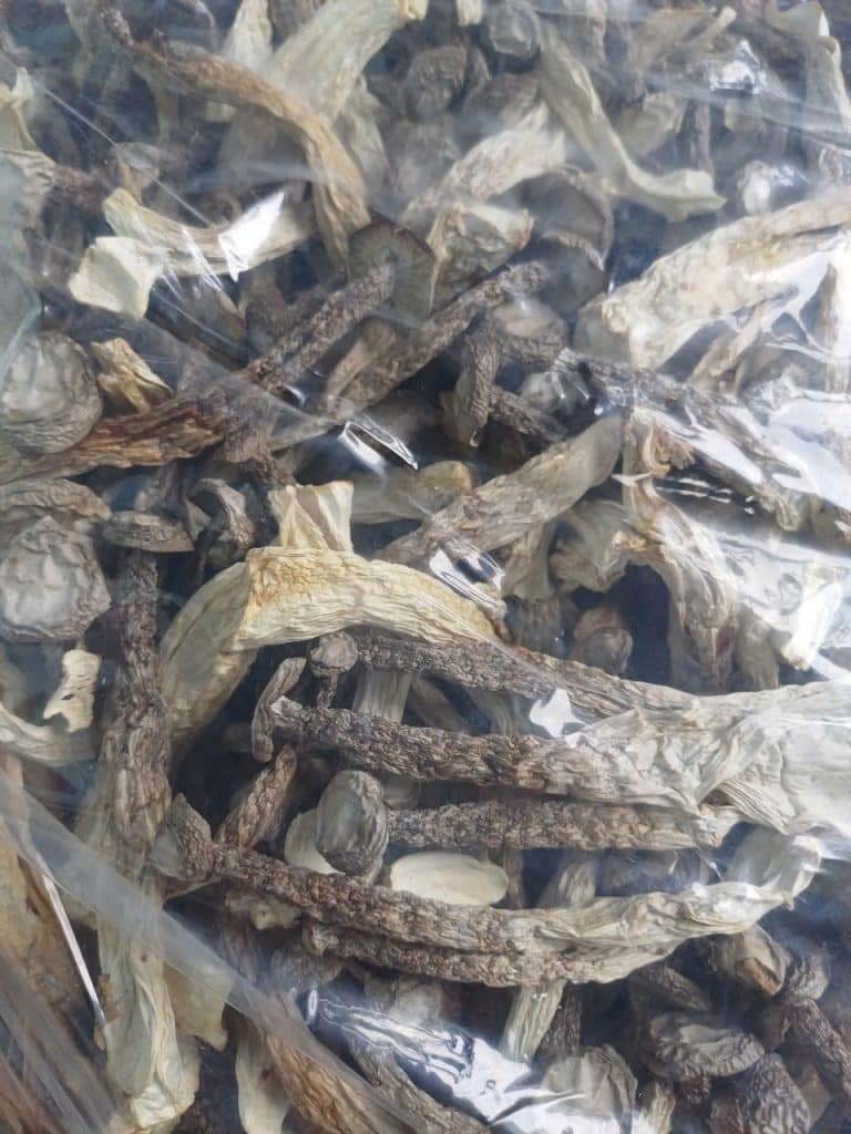 nấm nhung hươu