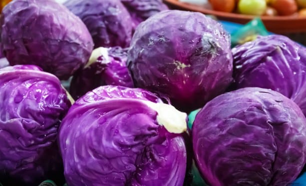 mua bắp cải tím ở đâu